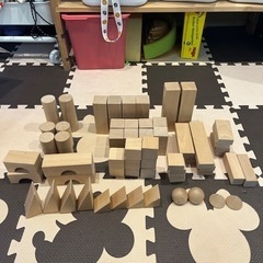HABA スターターセット大の画像