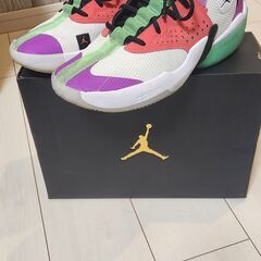 NIKE JORDAN リアクトエレベーション
