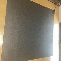 ホットカーペット!300円!