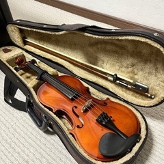 バイオリンの画像