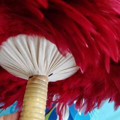 フラダンス楽器　ウリウリの画像