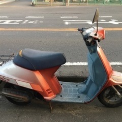 ホンダ　スーパータクト　AF09 スパタク　クレタク　カスタムベースにの画像