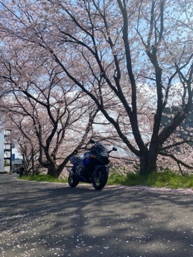 カワサキ　ZZR400K