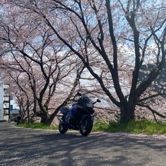 カワサキ　ZZR400K