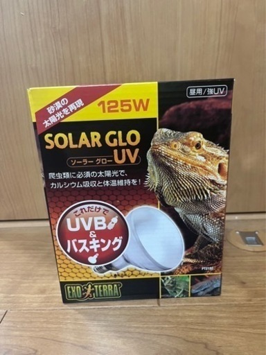 GEX グラステラリウム9045・暖突L・ライト類　セット