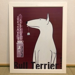 ブルテリアの絵