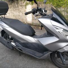 PCX  JF56