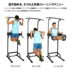 懸垂マシン、チンニングマシン、ディップスの画像