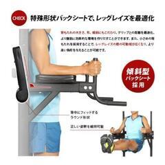 懸垂マシン、チンニングマシン、ディップスの画像