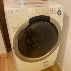 配送設置可能✨綺麗な洗濯機お探しの方はこちらへ✨全て丸洗い済みなので安心して下さい✨即日配送設置可能🚚洗濯機✨中古洗濯機✨縦型洗濯機✨ドラム式洗濯機✨縦型✨ドラム式✨乾燥機✨高年式✨4.5kg 〜11kg✨ 全自動洗濯機✨全自動洗濯乾燥機✨安い✨激安✨SHARP✨Panasonic✨日立✨ドラム式洗濯乾燥機✨シャープ✨TOSHIBA✨東芝✨パナ✨アイリスオーヤマ✨ハイアール✨ハイセンス✨ビックドラム✨ヒートポンプ✨風アイロン✨10kg✨大型洗濯機✨の画像