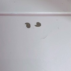 女の子限定になると思います。の画像