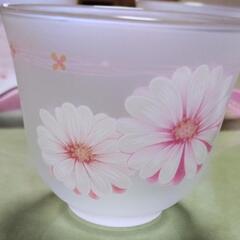 ガラス冷茶セット(新品)の画像