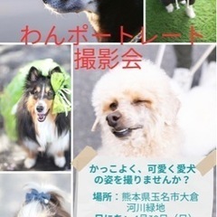 わんポートレート撮影会in熊本 − 熊本県