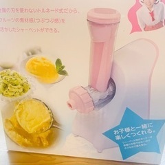 【受渡確定済】シャーベット&サラダメーカー　箱付きの画像