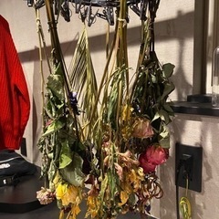 ドライフラワー