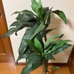 フェイクグリーンの画像