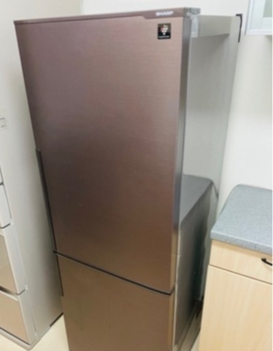 SHARP 冷蔵庫 271L 2016年製 プラズマクラスター