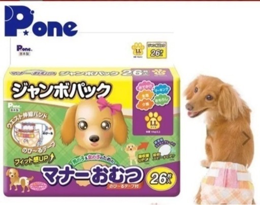 犬用　おむつ