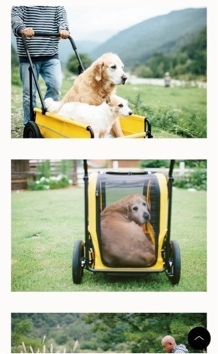 エアバギーair buggy 大型犬用バギー