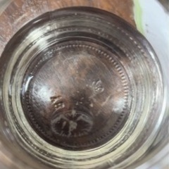 クラゲ