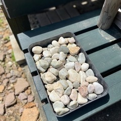 【水草】アナカリス　アマゾンフロッグピット　玉砂利もセットの画像