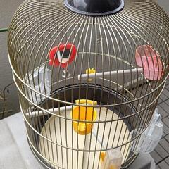 オシャレ　鳥かご　ファープラスト　レジーナ　アンティークブラス　小型鳥用セットの画像