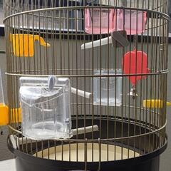 オシャレ　鳥かご　ファープラスト　レジーナ　アンティークブラス　小型鳥用セットの画像
