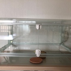 【取引中】ハムスター飼育セット☆