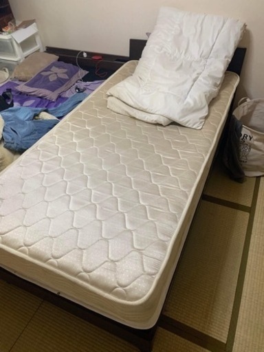 ホーム