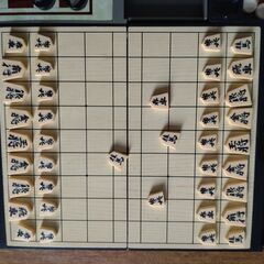 【最終値下げ】　マグネット式ボードゲーム　将棋(マグネット）チェス（マグネット）バッグギャモン(マグネットではない）の画像