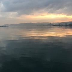 散歩しませんか˙˘˙ 