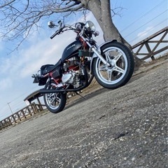 Hawk