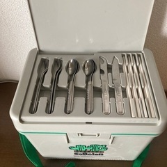 【受け渡しの方決まりました】【差し上げます】レジャーボックスサボテンの画像