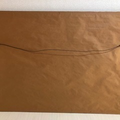 額縁　特大　写真付きの画像