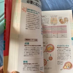 妊娠出産大百科の画像