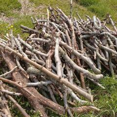 薪(りんごの木)交渉中