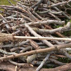 薪(りんごの木)交渉中の画像