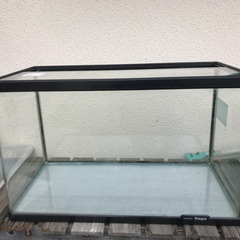 コトブキ　60センチ　アクリル水槽
