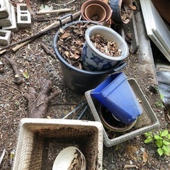 汚れた植木鉢