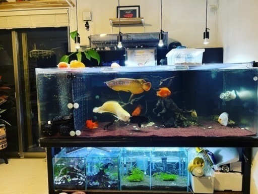 1800×900×600 オールクリア水槽