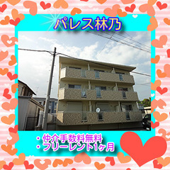 🌼パレス林乃101号室🌼✨仲介手数料無料✨敷金・礼金なし（0円・...