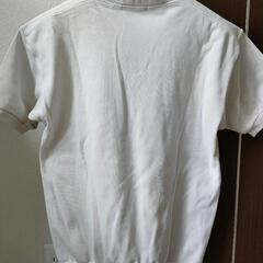 体育服　Mサイズの画像