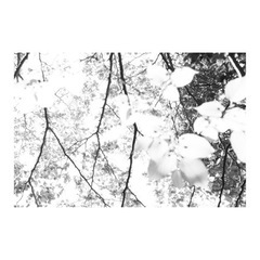 写真が好きな方で集まり撮影や作品の鑑賞がしたいです📸