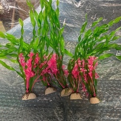 水槽用　人工水草