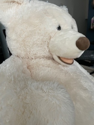 その他 Teddy bear