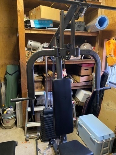 ボディメーカー(BODYMAKER) ホームジムDX TM066