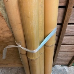 各種竹の画像