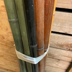 各種竹の画像