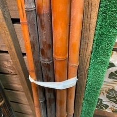 各種竹の画像