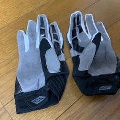 アルパイン　グローブ　自転車用？の画像